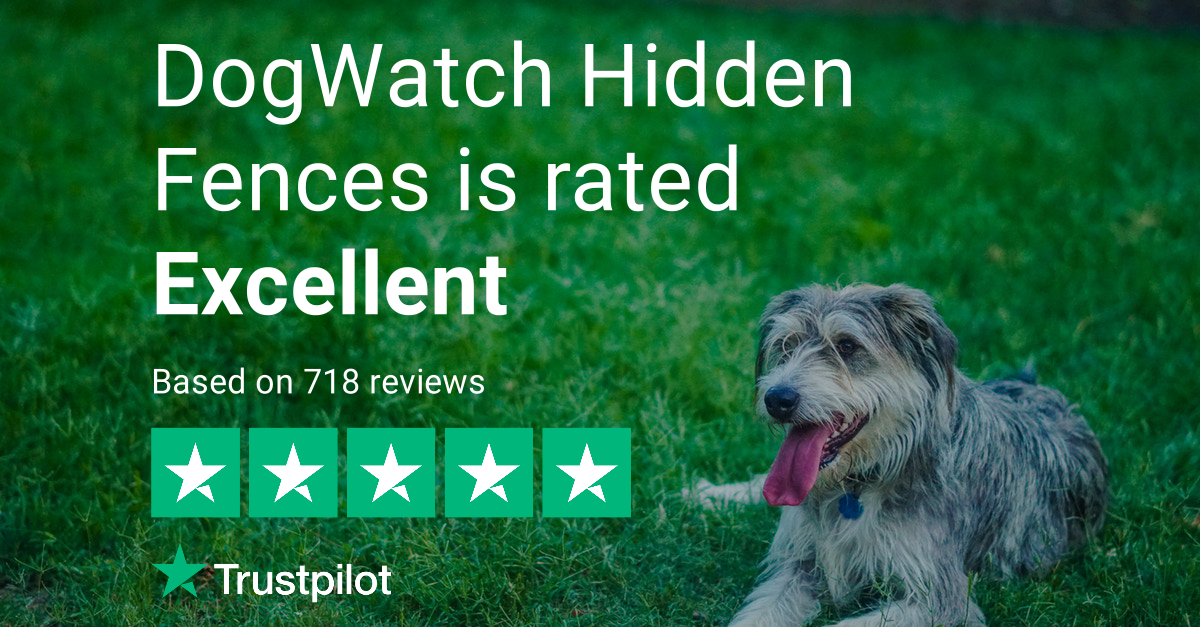 Dogwatch hidden fence reviews store