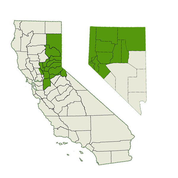 DogWatch of Reno-Tahoe and Sacramento Service Area