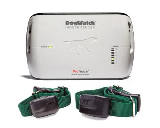 hidden electric dog fence