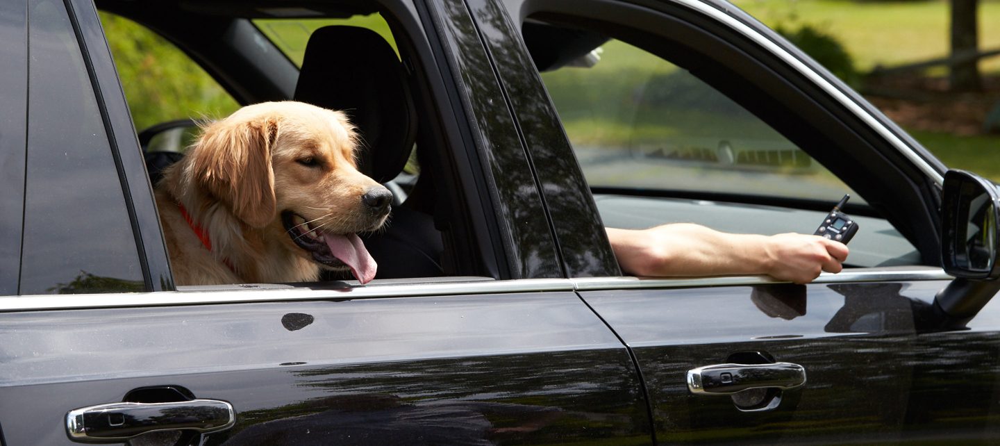 DogWatch BigLeash Vibrating Remote Training Collars for Dogs