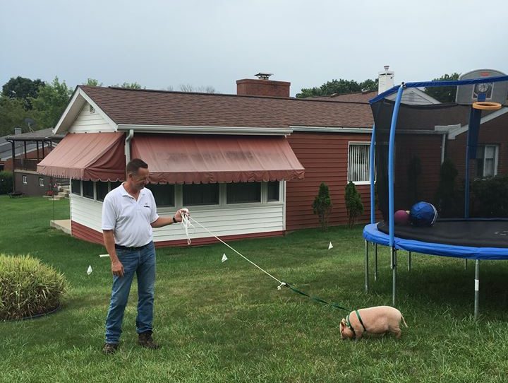 Jack Goetz with Penny the pig