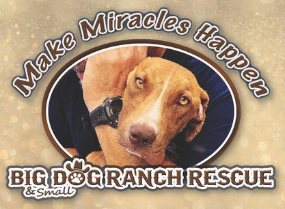 Big Dog Ranch Rescue - logo with Miracle the dog