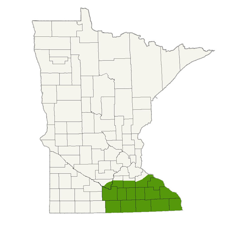DogWatch of Southern Minnesota Service Area