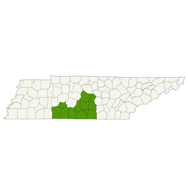 DogWatch of Middle Tennessee Service Area