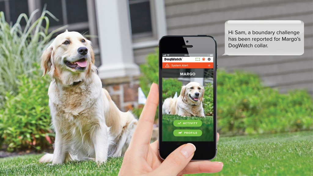 SmartFence WebApp Update Boundary Challenge Alerts are Here DogWatch