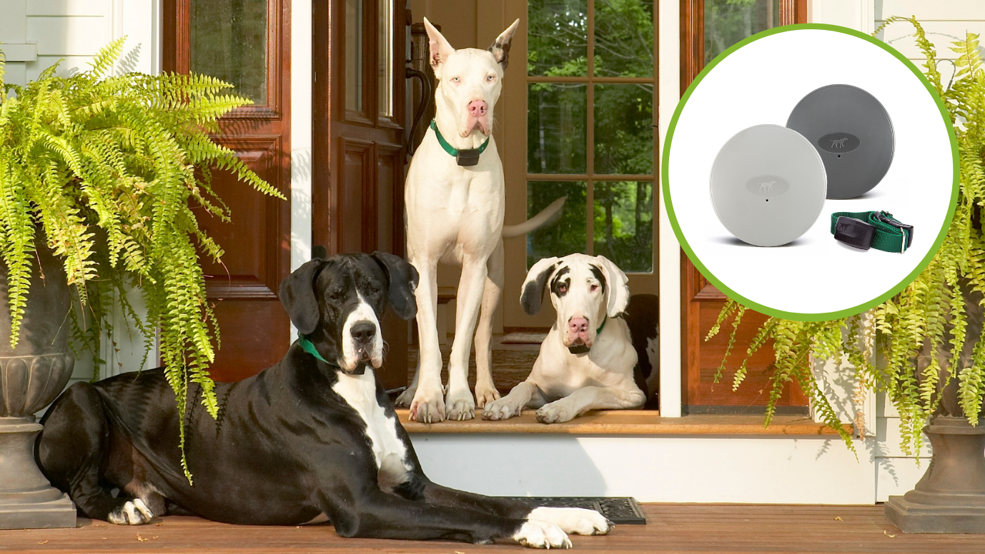 replacement dog flap