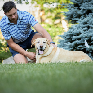 dogwatch customer with safe dog, Lost Cat in shelter, lost pet prevention month