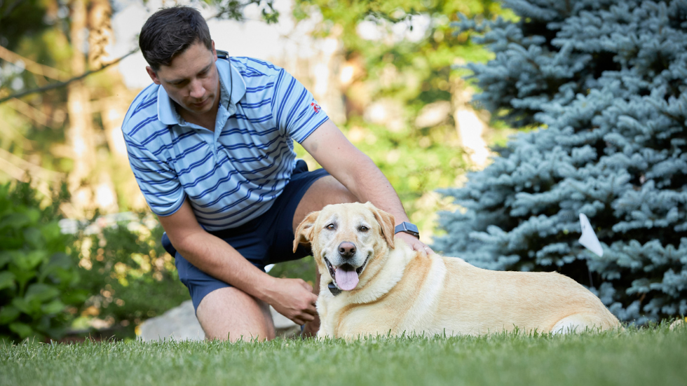 How to Find, Fix and Prevent Wire Breaks in Your DogWatch® Hidden Fence -  DogWatch®