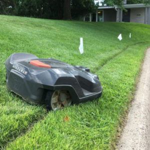 robot mower and dogwatch fence