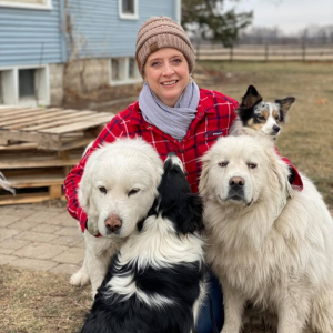 herding dogs on a farm, Herd That: Can a Hidden Fence Work for a Herding Dog?