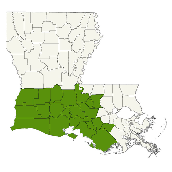 DogWatch of Acadiana Service Area
