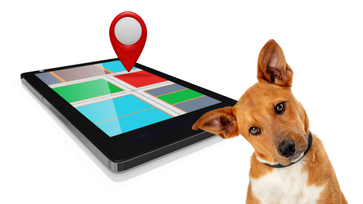 GPS Dog Fences Actually Here's Everything You Need Know - DogWatch®