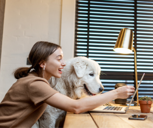 dog in office at desk with worker