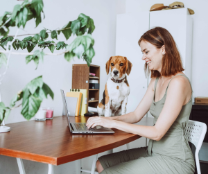 dog in office with friend