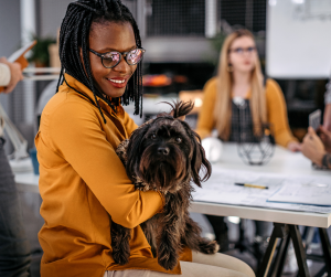 Woman petting dog during office meeting