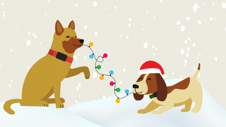 Holiday Gift 2023 DogWatch Holiday Gift 2023