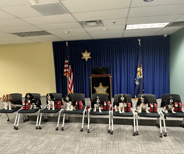Oakland County Sheriff Comfort K9s