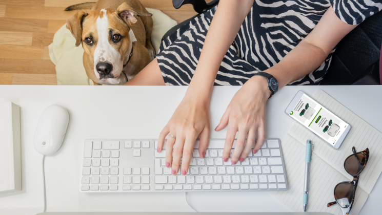 DogWatch Blog Featured Image gps vs wired woman evaluating dog fences