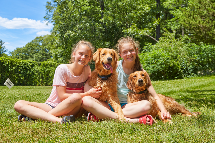 Girls and dogs in sunlit grass