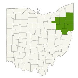 DogWatch of Northeast Ohio service area map