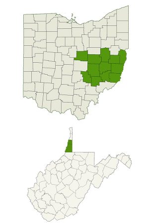 DogWatch of Southeast Ohio service area map
