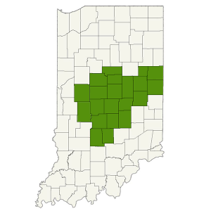 DogWatch of Central Indiana service area map