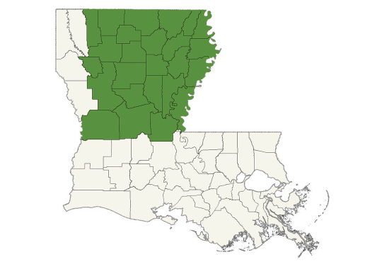 DogWatch of North Louisiana service area map