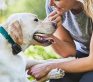 A girl playing with her dog