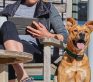 A woman sitting in a chair with his dog