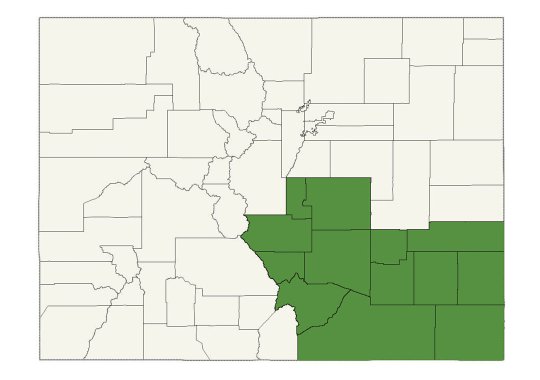 DogWatch of Colorado Springs service area map