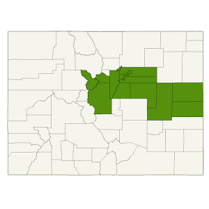 DogWatch of Colorado service area map