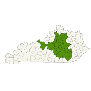 DogWatch of Central Kentucky service area map