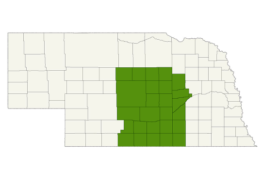 DogWatch of Central Nebraska service area map