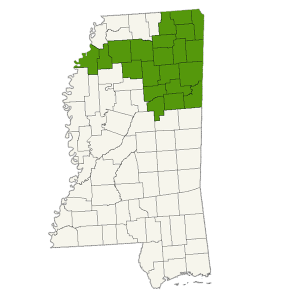 DogWatch of North Mississippi service area map