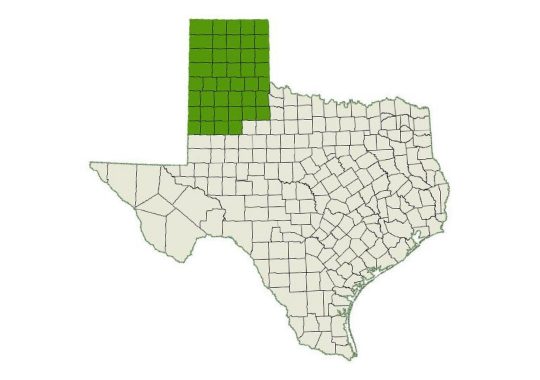 DogWatch Amarillo service area map