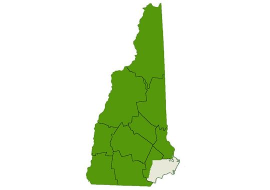DogWatch of New Hampshire service area map