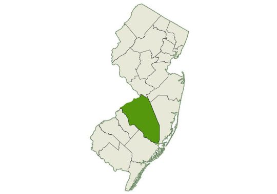 DogWatch of Burlington County service area map