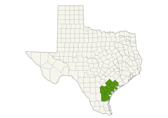 DogWatch of the Coastal Bend service area map