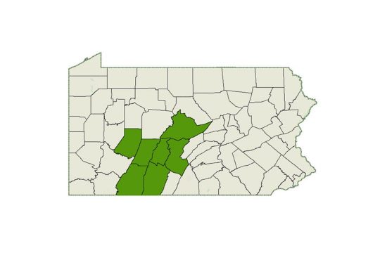 DogWatch of Central PA service area map