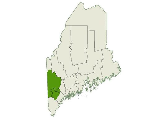DogWatch of the Maine Lakes Region service area map
