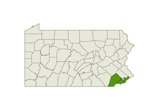 DogWatch of Delaware Valley service area map