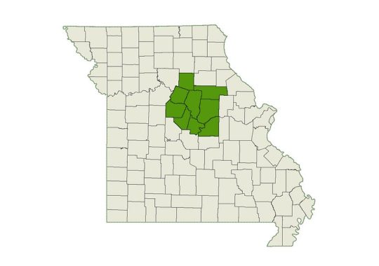 DogWatch of Mid Missouri service area map