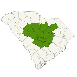 Palmetto DogWatch service area map