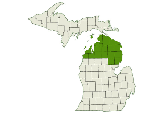 DogWatch by K9 Fencing of Michigan service area map