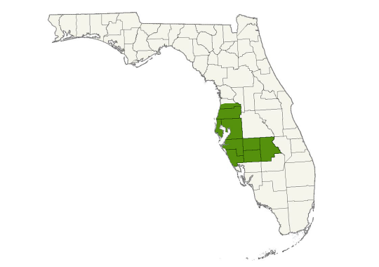 DogWatch of Tampa service area map