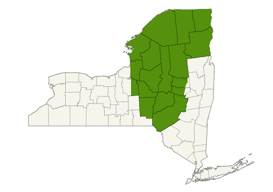 DogWatch of Upstate NY service area map