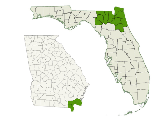 Jax DogWatch service area map