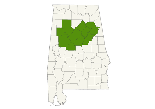 DogWatch of Central Alabama service area map
