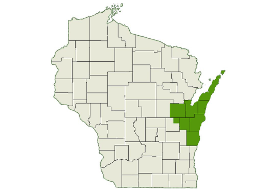 DogWatch of Northeast Wisconsin service area map
