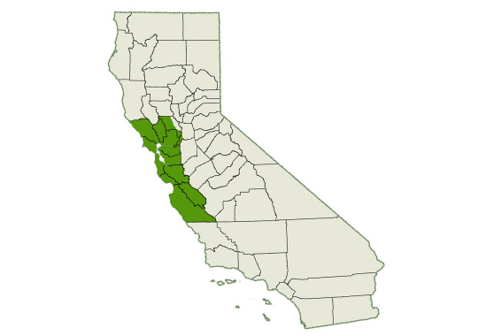 DogWatch of the Bay Area & Northern California service area map